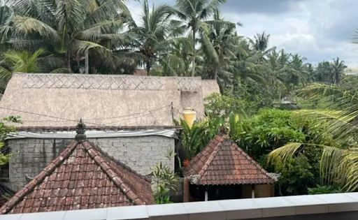 OSTEO UBUD / Osteopathy treatments in the heart of Bali 2