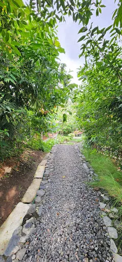 Askara Sound Temple 2