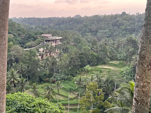 The Sayan House Restaurant 4