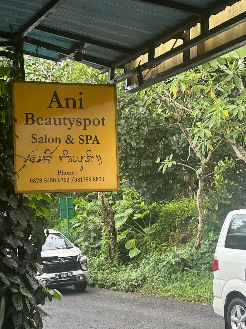 Ani Beauty Spot Salon Spa 4