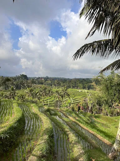 Rey Bali Tour 2