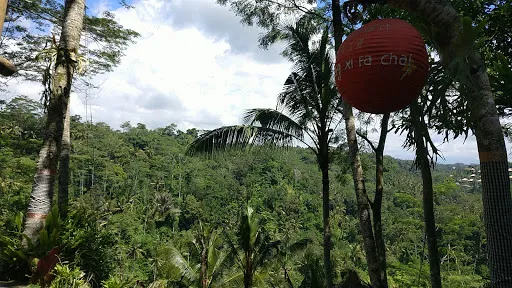 Sari Profit Rafting 2