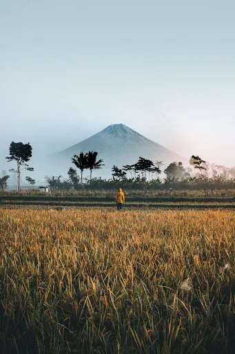 Bali Adventure Guides 2