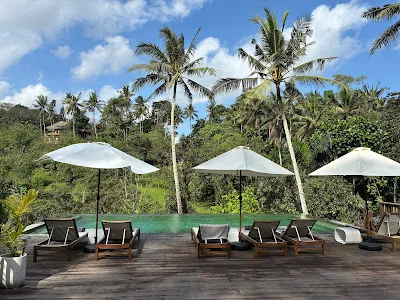 The Kayuan Lumbur Resort Ubud 2