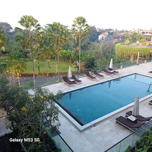 Baligotrips.com (Bali Tours & Activities) 1