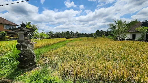 Ridgewalk start from north 4