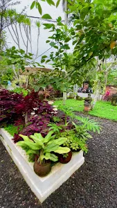 Opini Kopi Garden 4