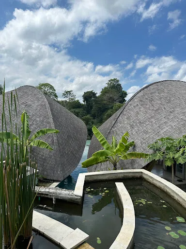 Solana Luxury Wellness Retreat 4