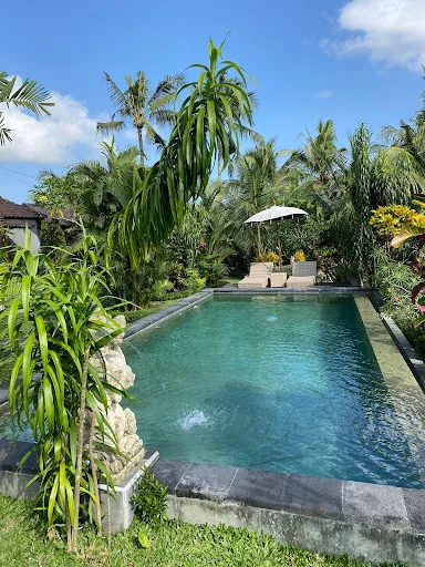 Green Coconut Cottage 2