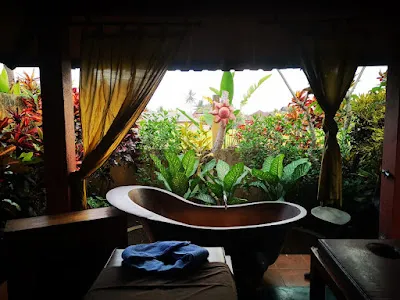 Sedona Spa Ubud 1