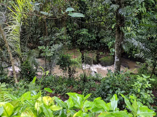 Penestanan​ stairs 4