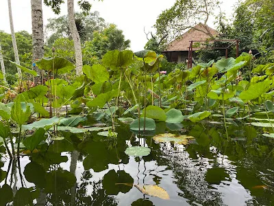 Tjampuhan Spa 1