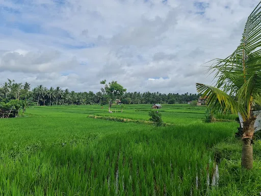 Ubud Botany Interactive 3