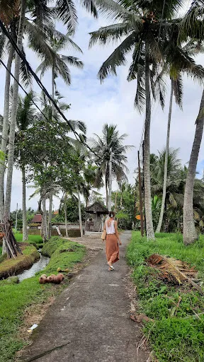 Kajeng Rice Field 1