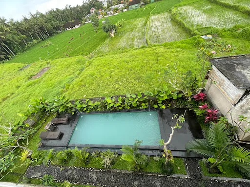 Uma Kutuh 2