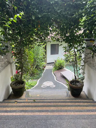 White Lotus Oasis 3