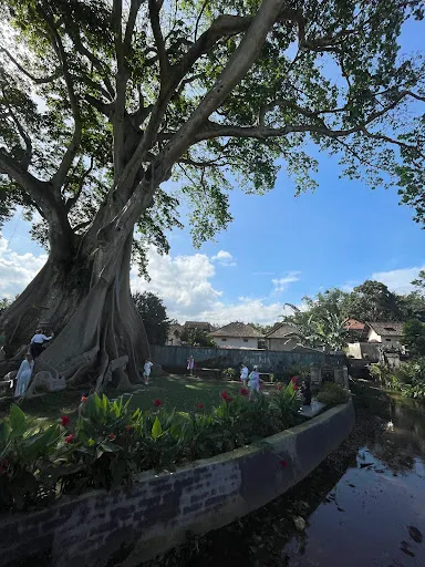 Harum bali tour 4