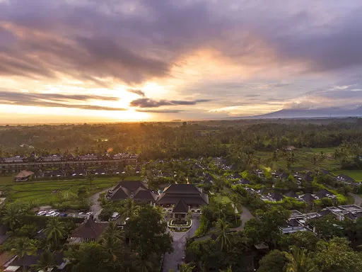 Desa Visesa Ubud 4