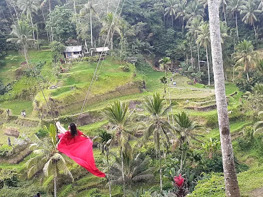 Sumberdana tour and travel 1