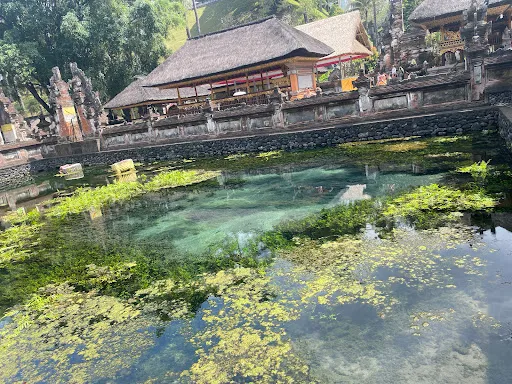 Sumberdana tour and travel 3