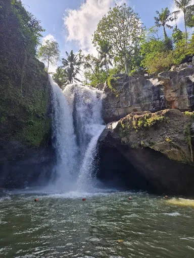 Sumberdana tour and travel 4