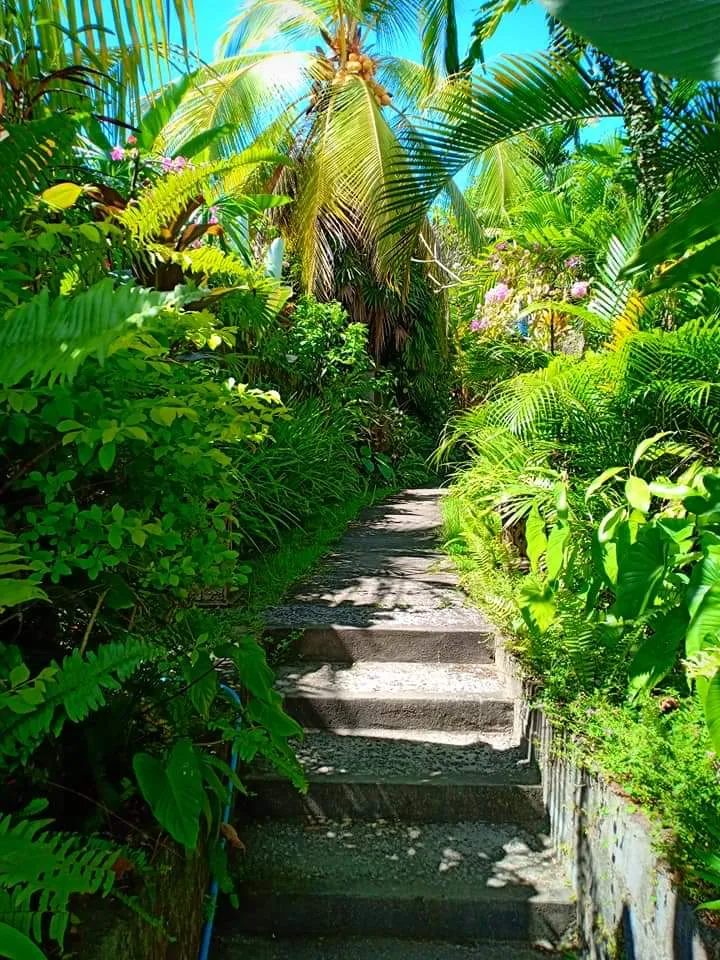 Gerebig Bungalows 4