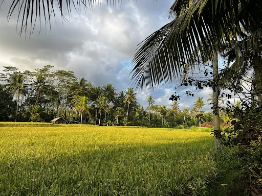 Bali Yoga Ashram - Yoga Teacher Training in Bali 1