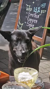 Bánh Mì Bistro 4