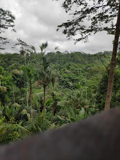 Bali Trekking Tour 3