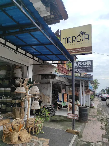 A3 Art Shop 1