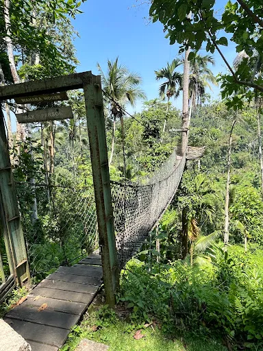 Bali Breeze Tours - Ubud Cycling Tour 4