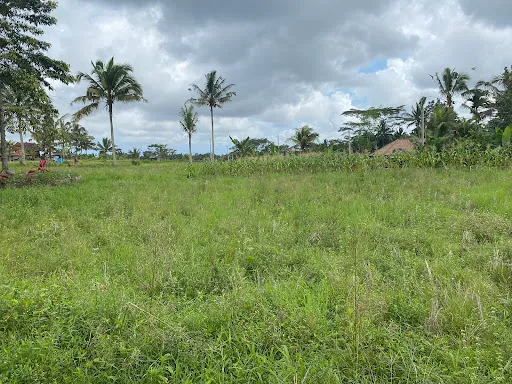 Ubud Luwih Nature Villa 4