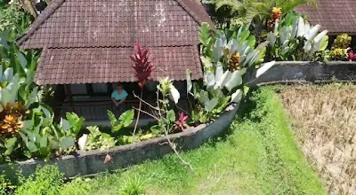 Amaya Cottage Ubud 3