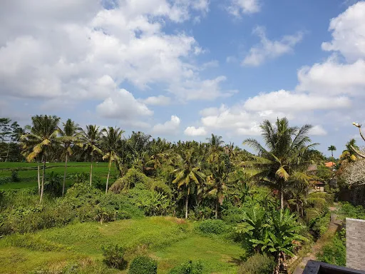 Puri Padma Hotel 4