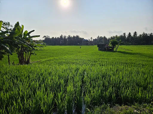 Sweet Orange Walk Trail 1