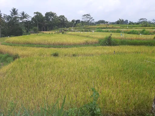 Bali Bike Baik Tours 2
