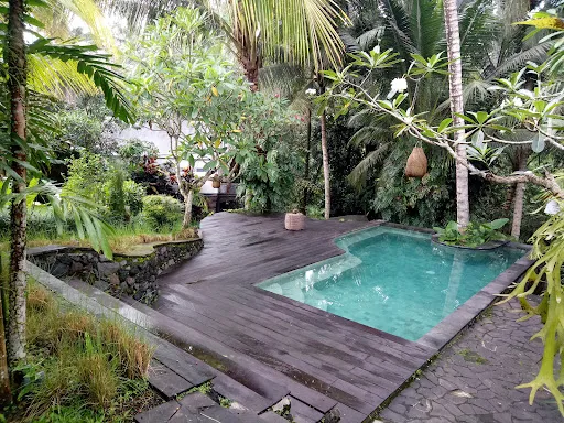 Ubud Tropical 2