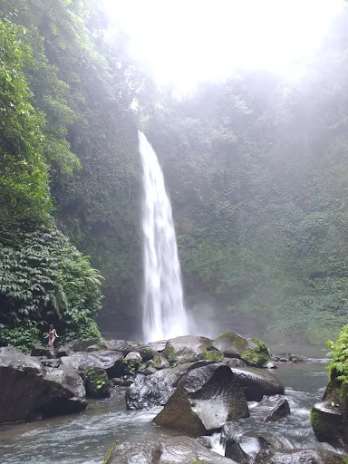 Simon's Bali Private Tour & Driver Service - Ubud 1