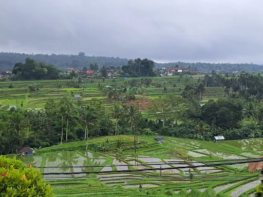 Simon's Bali Private Tour & Driver Service - Ubud 4