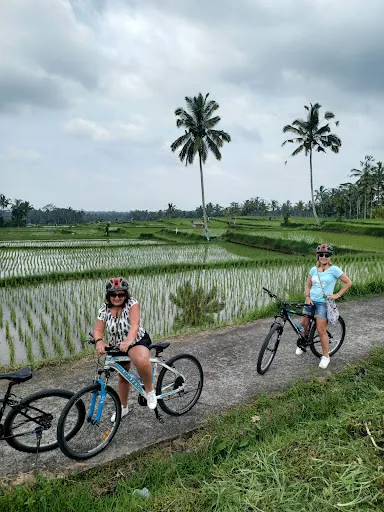Bali Go Bike 4