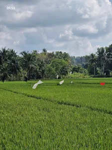 Jogging Track Penarungan