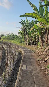 Jogging Track Penarungan 1