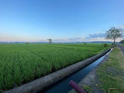 Jogging Track Penarungan 3