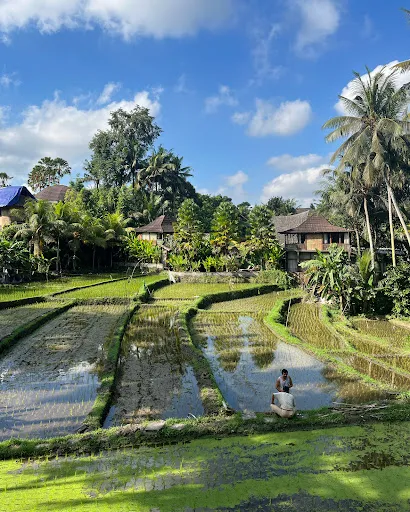 Samyama Meditation Center - Yoga & Meditation Retreats in Bali 2