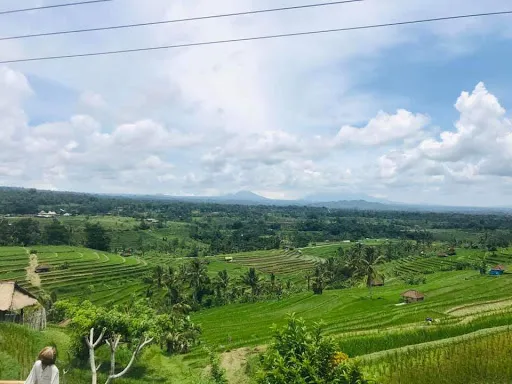 Guna Artha Bali Tour 2
