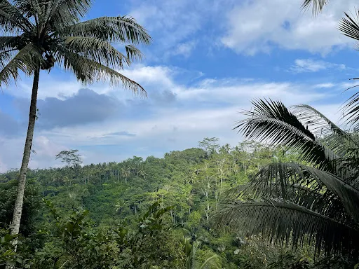Happy Bike Tour 2