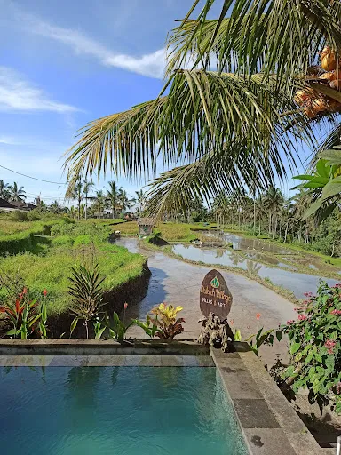 Dukuh Village Villas & Art 2
