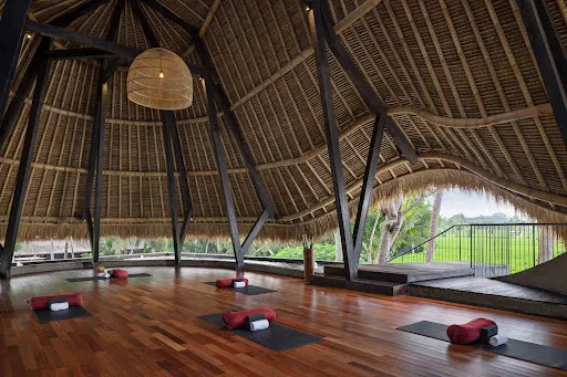 Gdas Bali Health and Wellness Resort 4