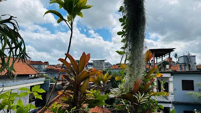 Poshtel Ubud 1