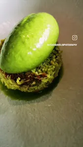 Herbivore by Locavore Group 3